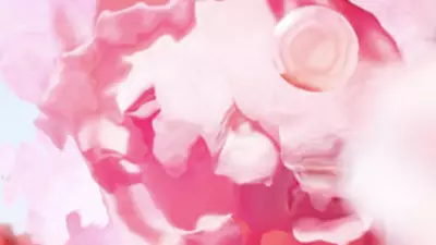 [Zutatenbild – Zuschnitt an der Rosenblume]