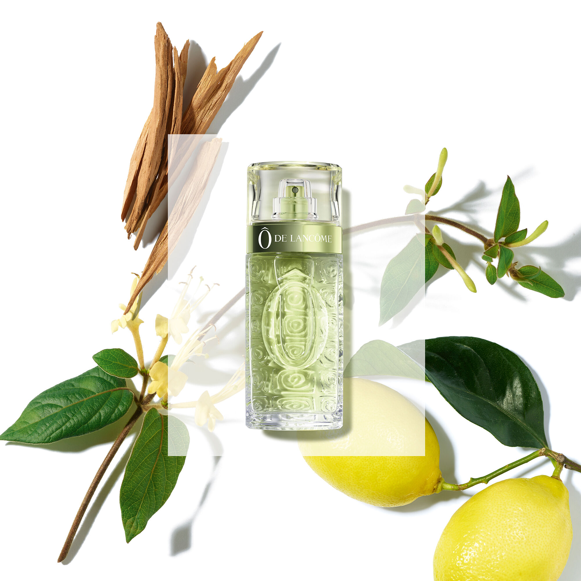 O DE LANCOME EAU DE TOILETTE Flakon vor naturlichem Hintergrund