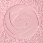 SKIN REFINING SETTING POWDER