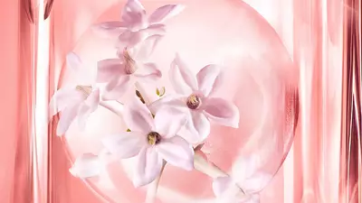 JASMIN-ABSOLUE
