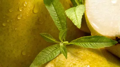 Ingredienten-Visualisierung – Zuschneiden auf Verbena-Asten
