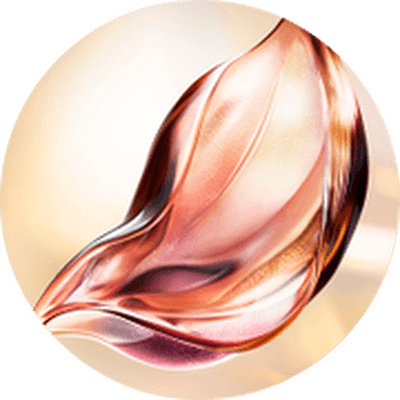 EXKLUSIVE & PATENTIERTE ABSOLUE PERPETUAL ROSE MOLECULAR FRACTIONS™