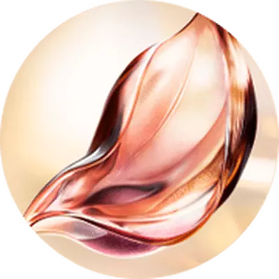EXKLUSIVE & PATENTIERTE ABSOLUE PERPETUAL ROSE MOLECULAR FRACTIONS™