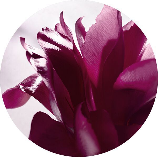 HERZ AUS ROSENESSENZ
