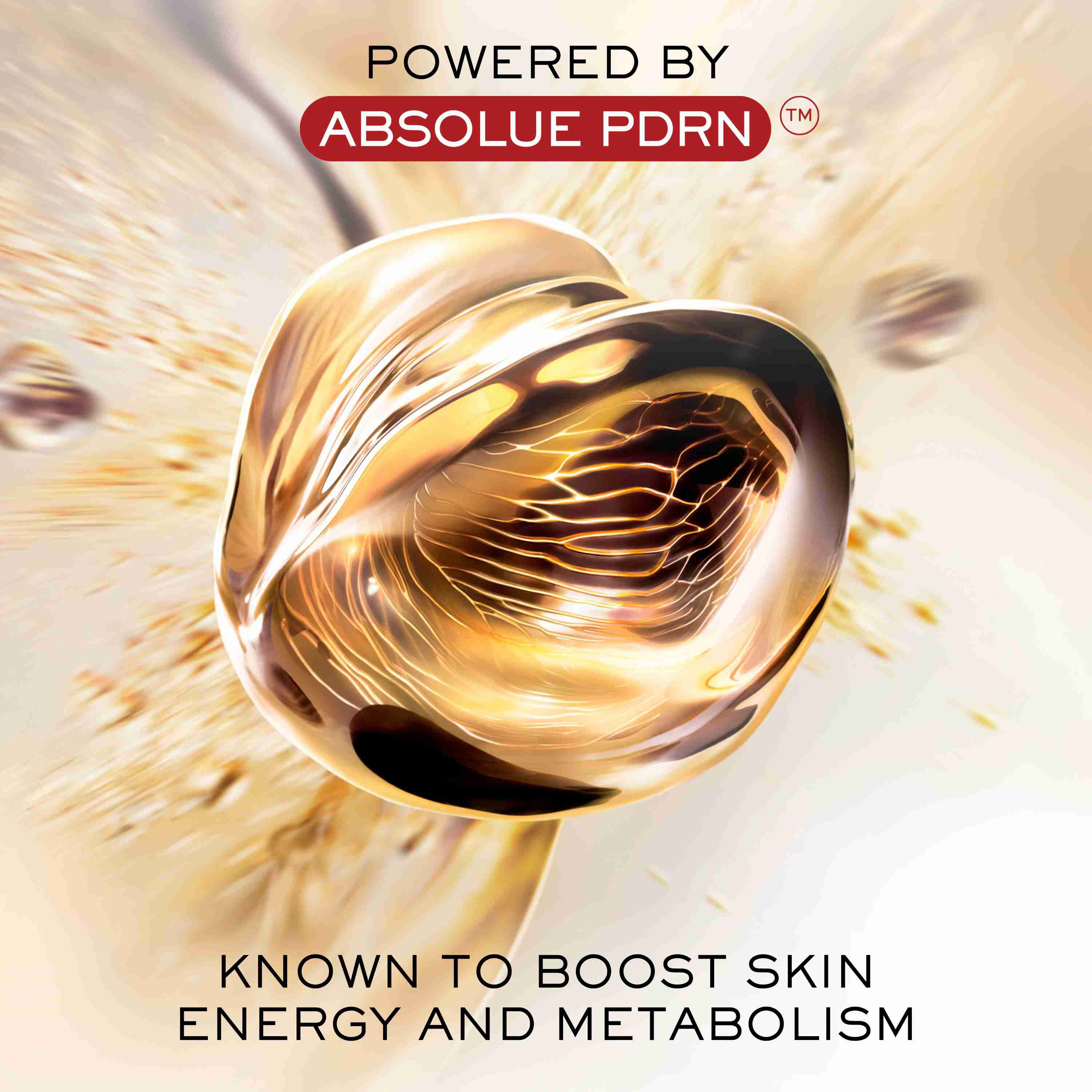 Absolue Longevity Soft Creme