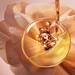ABSOLUE SOFT CREME KOLLEKTION