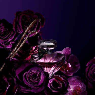 La nuit lancome - Unser Gewinner