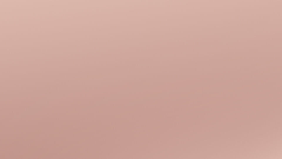 Neuheiten Bestseller banner