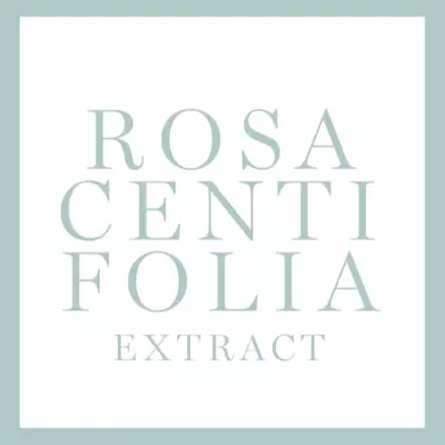 Inhaltsstoff Rosa Centi Folia Extract