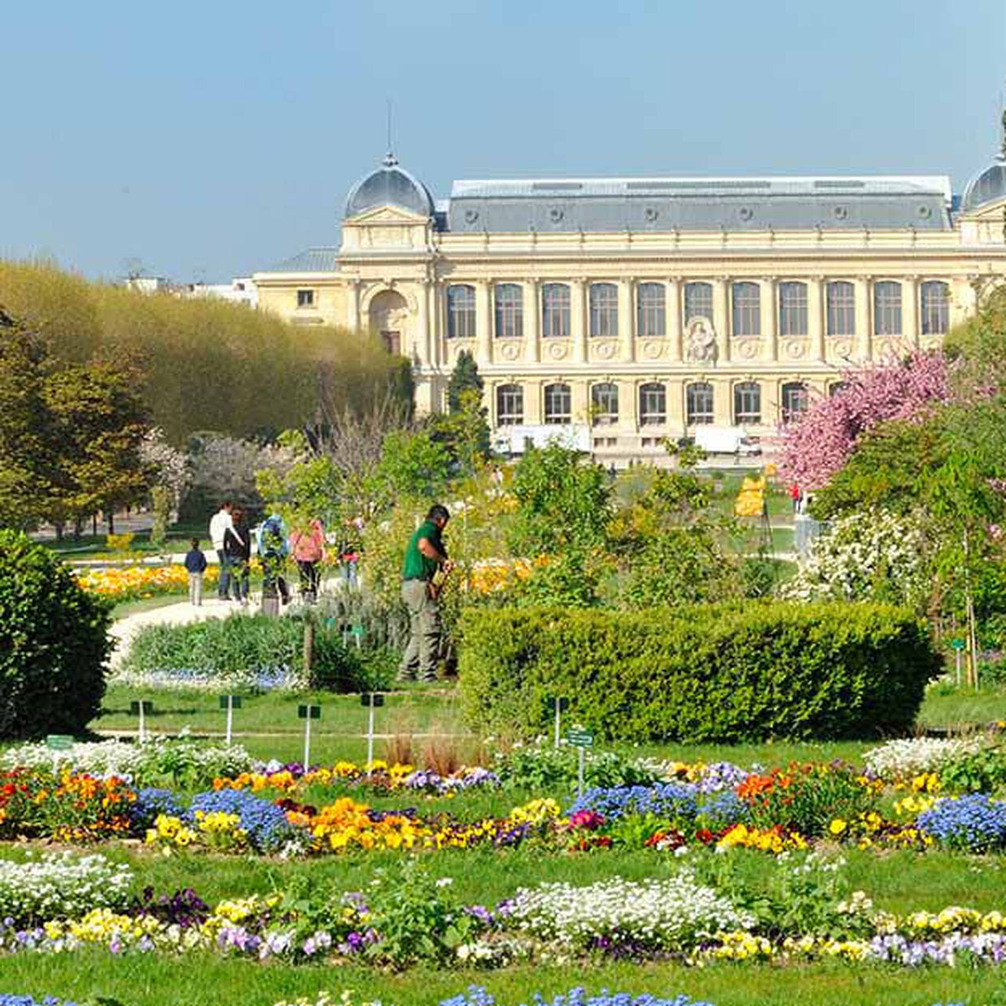 Bild eines Rosengartens
