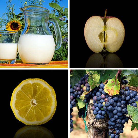 Collage aus Milch, Apfel, Zitrone und Trauben