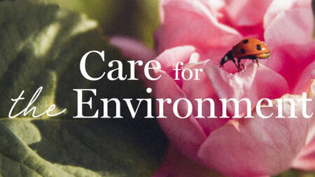 Eine Hand beruhrt eine Rose, auf dem Bild steht Care for our Nature