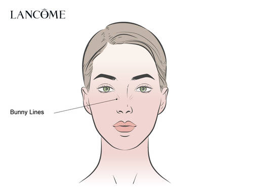 Dekoratives Bild zur Darstellung von Bunny Lines