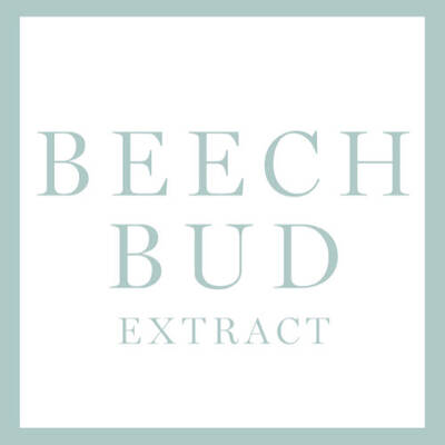 Inhaltsstoff Beechbud