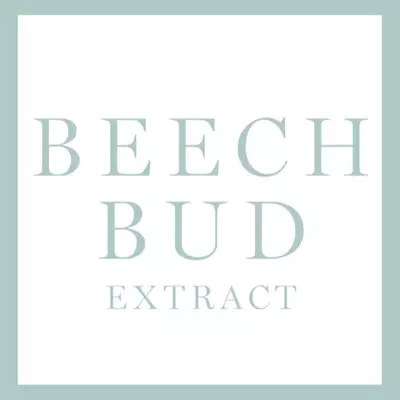 Inhaltsstoff Beechbud