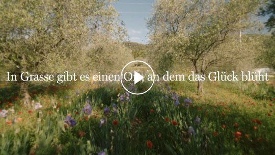 Bluhende Wildwiese davor der Schriftzug In Grasse gibt es einen Ort, an dem das Gluck bluht