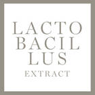 Ein großer Button mit der Aufschrift Lactobacillus Extract (Inhaltsstoff)