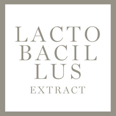 Inhaltsstoff Lactobacillus Extract
