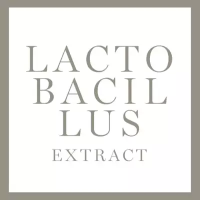 Inhaltsstoff Lactobacillus Extract
