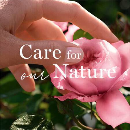 Eine Hand beruhrt eine Rose, auf dem Bild steht Care for our Nature