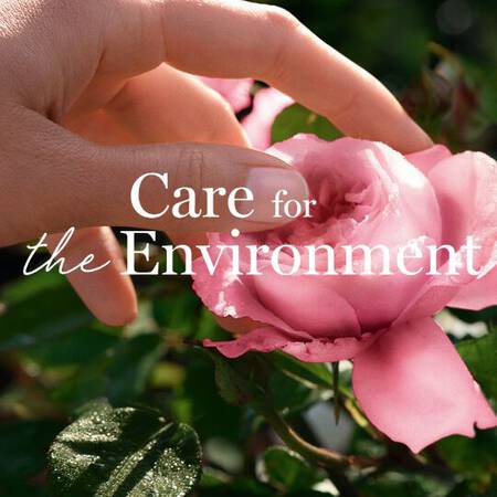 Frau streichelt Rose: Care for our nature.