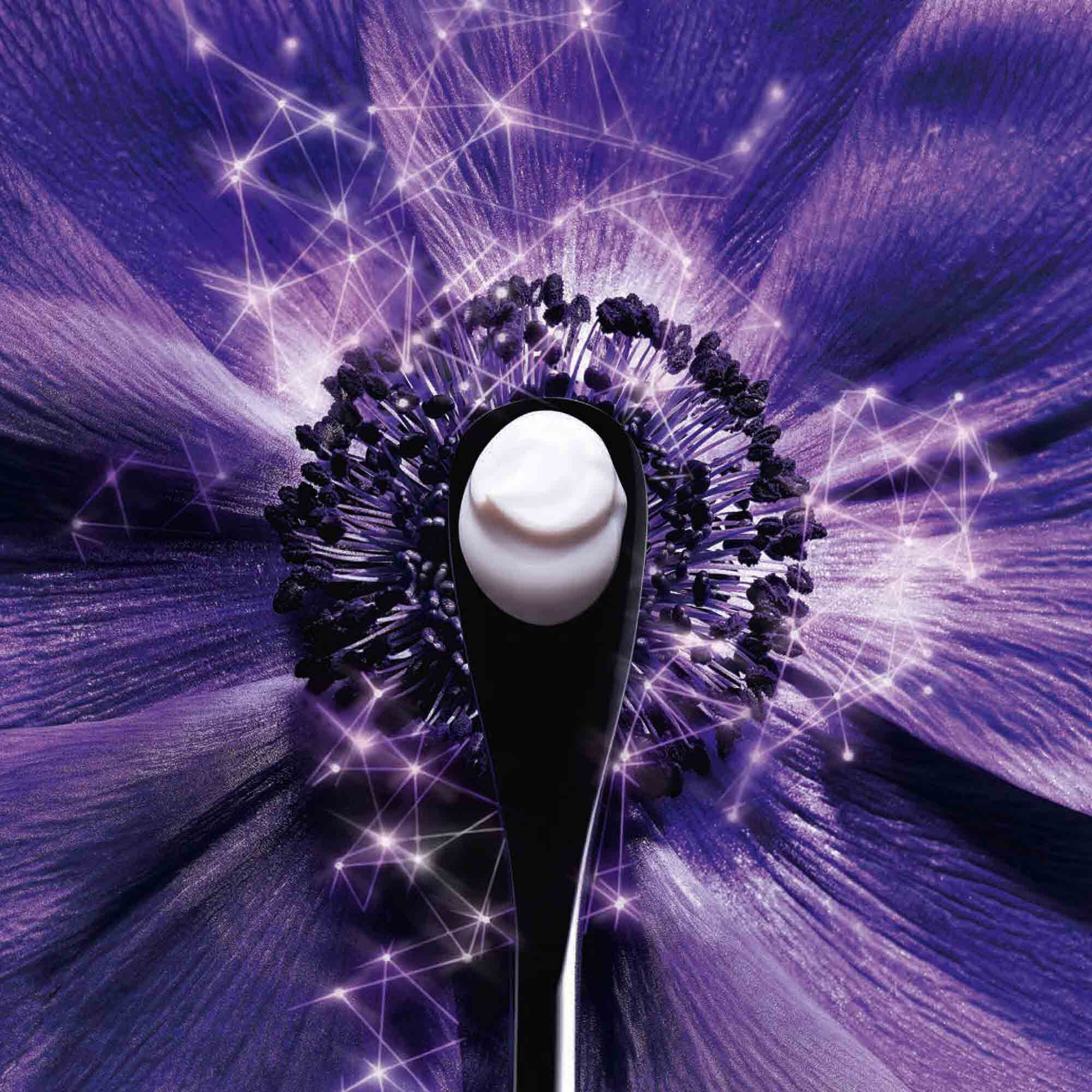 Eine lila Blume mit einer schwarzen Loffel und einer weißen Creme in der Mitte, umgeben von leuchtenden Linien.