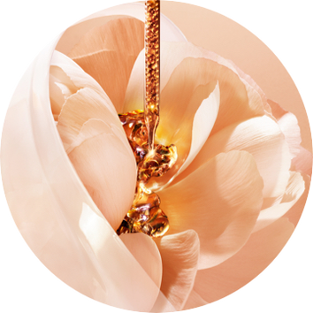 Eine zarte Blute in sanften Rosatonen, deren Herzen von goldenem Schmuck durchzogen ist.