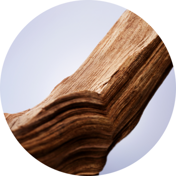 Nahaufnahme eines geschwungenen Holzstucks mit feiner Textur auf einem sanften, einfarbigen Hintergrund.