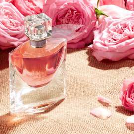 Produktbild: La Vie est Belle Flasche im Ambiente