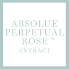 Ein großer Button mit der Aufschrift Absolue Perpetual Rose Extract (Inhaltsstoff)