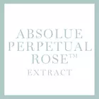 Ein großer Button mit der Aufschrift Absolue Perpetual Rose Extract (Inhaltsstoff)