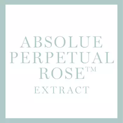 Inhaltsstoff ABSOLUE PERPETUAL ROSE