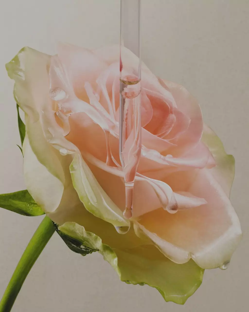 Das Engagement von Lancome