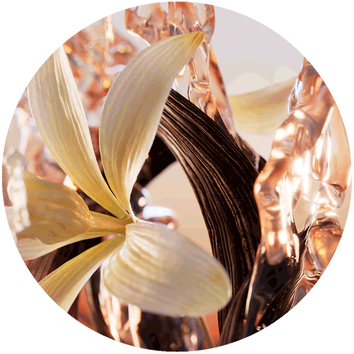 Nahaufnahme einer stilisierten Blume, umgeben von geschwungenen, transparenten und glanzenden Elementen.