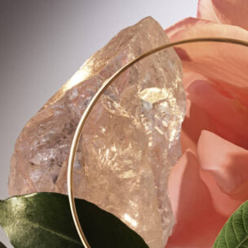 Eine exquisite Rose mit einem klaren Kristall und einem goldenen Ring im Hintergrund, umgeben von grunem Blattwerk.