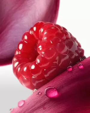 Illustration eines fruchtigen Dufts von Lancome