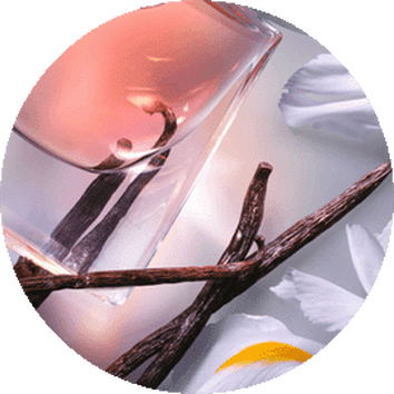 Ein Parfumflakon mit rosafarbenem Duft und Vanilleschoten, umgeben von weißen Blutenblattern.