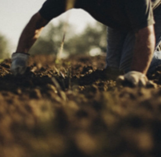 Naturliche Bewasserungsanalge