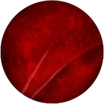 Runder, blutroter Hintergrund mit sanften Wellen und einer glatten Textur.