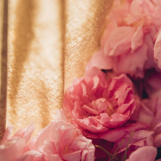 Handgepfluckte Rosen