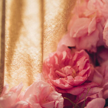 Handgepfluckte Rosen