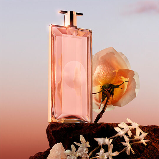 Guide fur Unterschied Eau de Toilette und Eau de Pafume