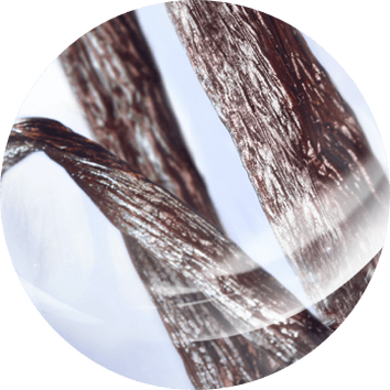 Makroaufnahme von braunen Vanillestangeln mit feinen strukturellen Details vor hellem Hintergrund.