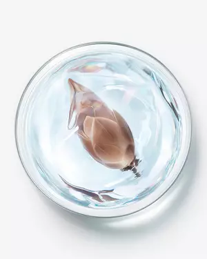 Illustration fur fortschrittliche Hautpflegewissenschaft