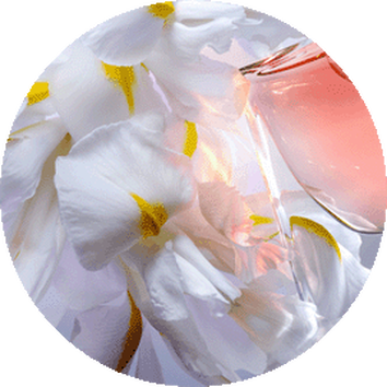 La vie est belle Flakon neben weißen Iris-Bluten