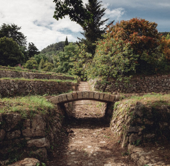 Naturliches Biotop fur Pflanzen und Wildtiere