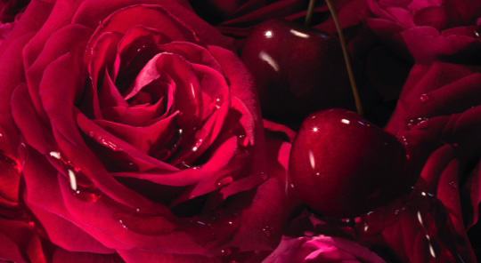La nuit lancome - Der Favorit unserer Tester